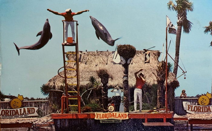 Floridaland - Vintage Postcard (newer photo)